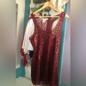 Red Mesh Sequin dress